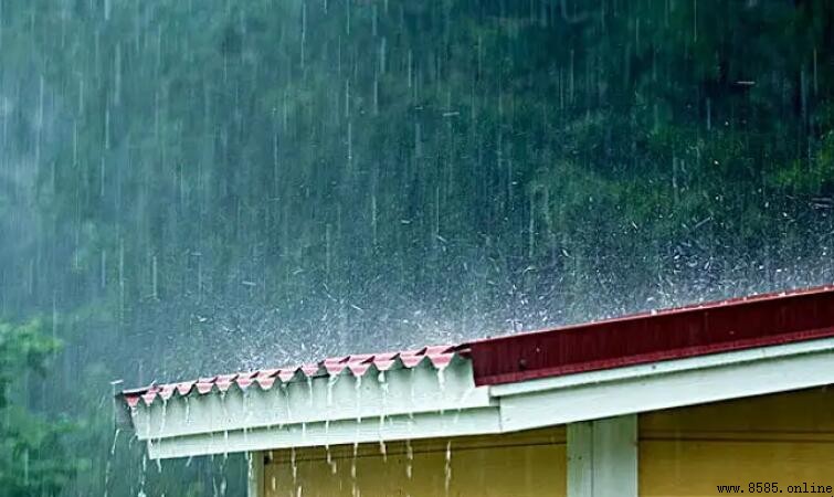 下雨怎麼造句:19個實用例句掌握造句技巧