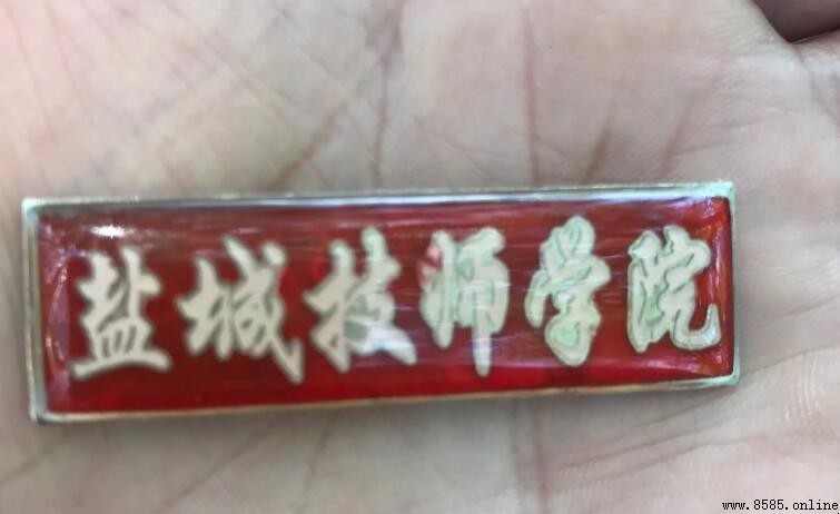 鹽城技師學院是大專嗎?解析學校性質與歷史沿革