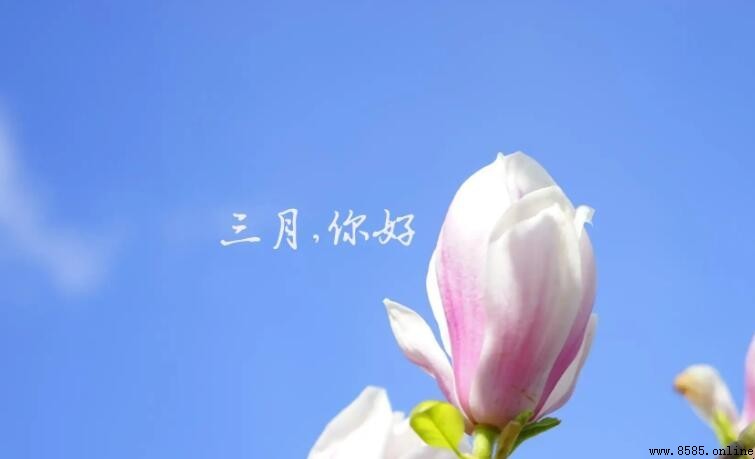 形容三月的成语有哪些