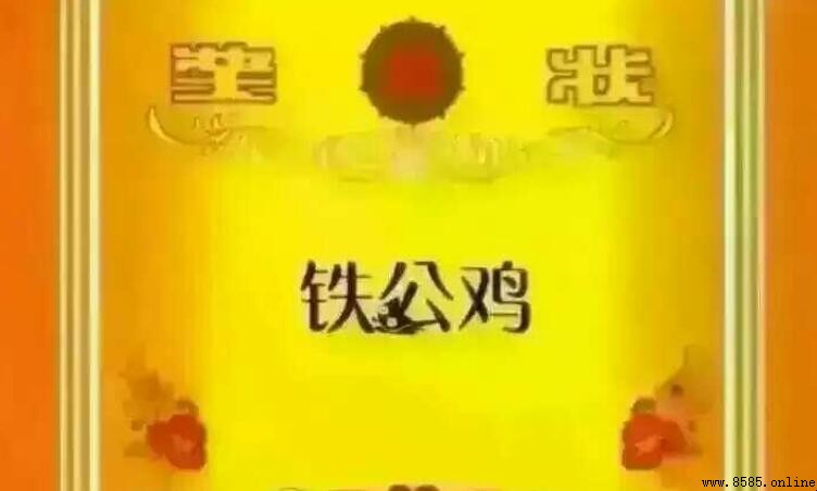 形容铁公鸡的句子有哪些