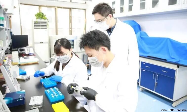 研究員是什麼級別?解析研究系列職稱等級