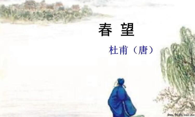 恨別鳥驚心意思解析