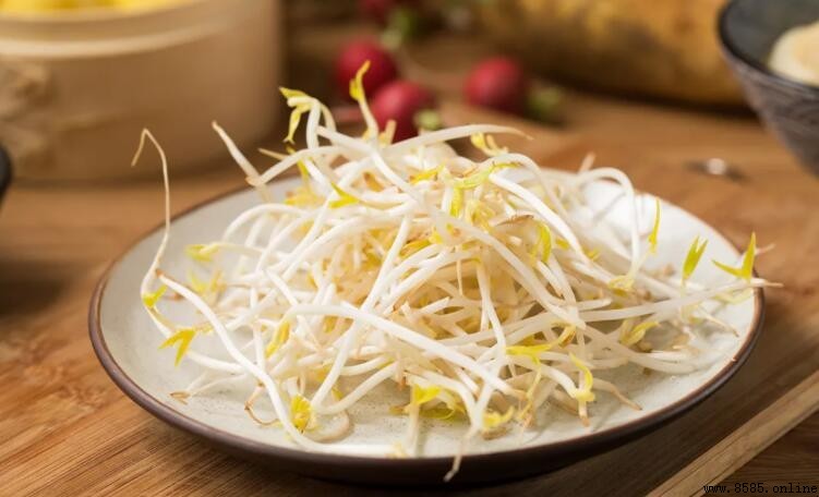 黃豆芽焯水時間指南