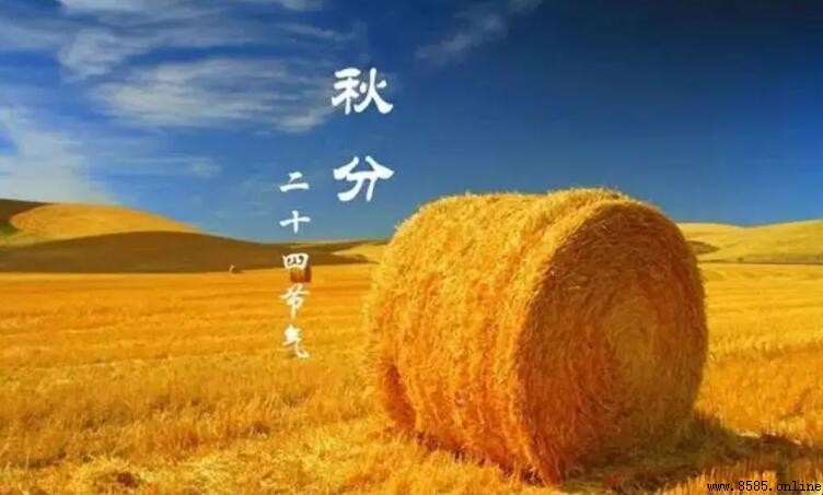 秋分的三候是什麼