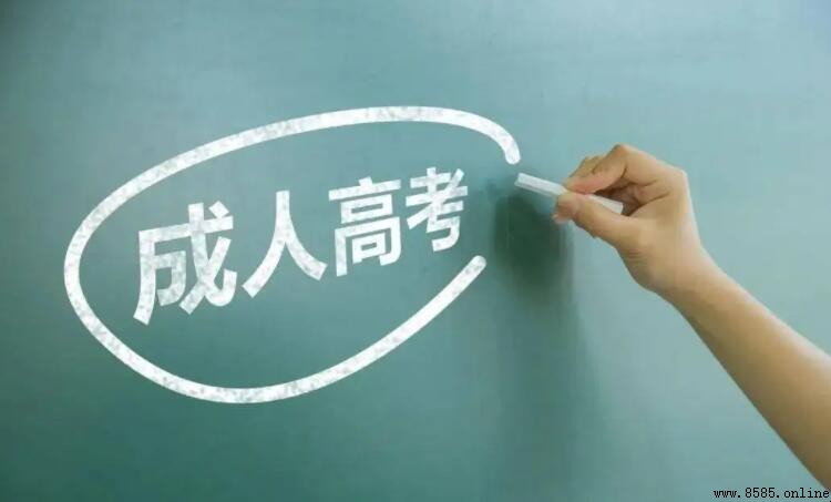 成人高考專業選擇指南：完整類別與範例