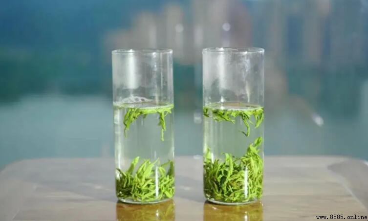 廬山雲霧茶香氣解析：清雅瀟灑的綠茶芬芳
