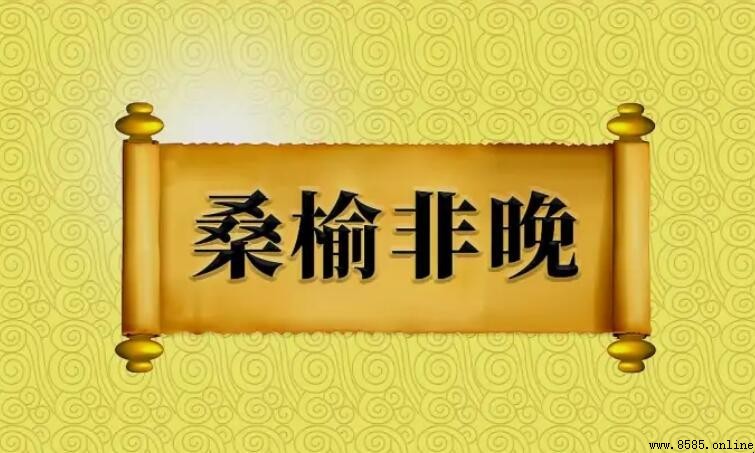 桑榆非晚的意思