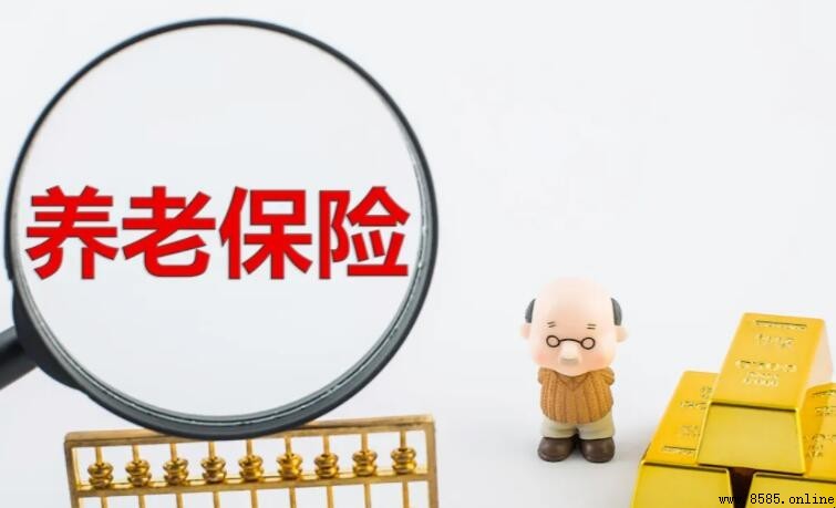 自費買養老保險划算嗎？個人承擔全額費用是否值得
