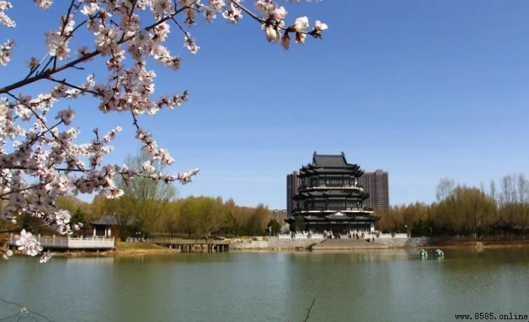 山西省大同市氣候特徵解析