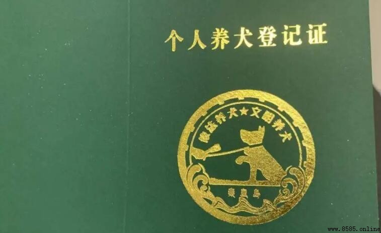 上海犬证办理流程详解
