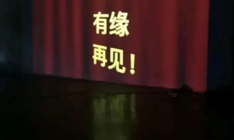 《有缘再见》歌词是什么