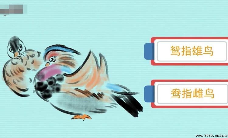 鴛鴦的意思