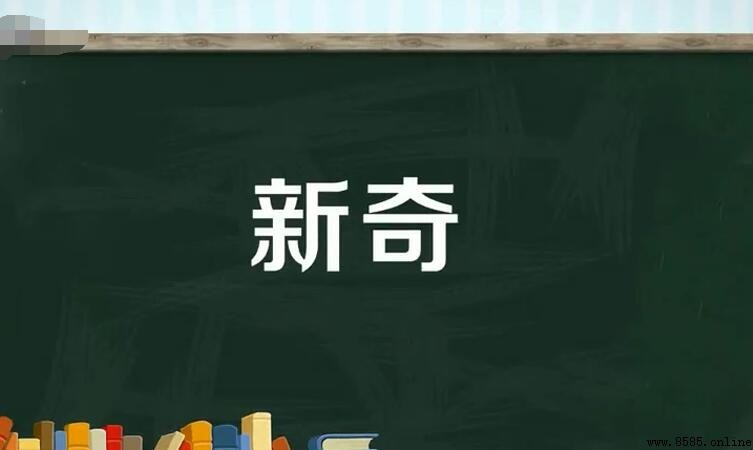 新奇的定義與含義