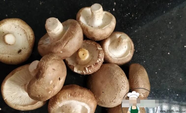 過水的香菇怎麼放