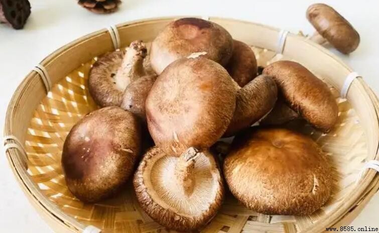鮮香菇為什麼變紅了？原因與處理方法