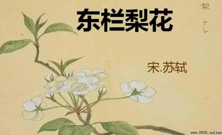 《東欄梨花》柳絮飛時花滿城