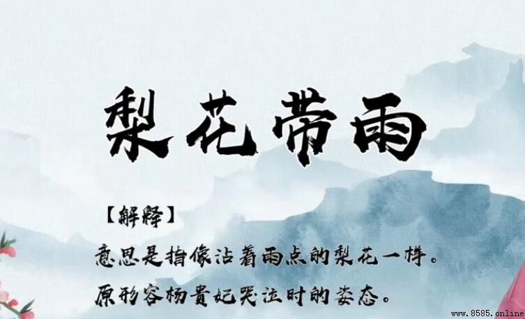 梨花帶雨的近義詞