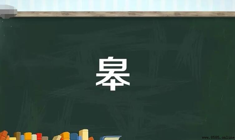 上面一個白下面一個本是什麼字