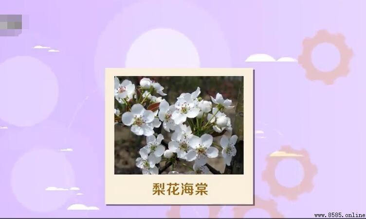 梨的組詞有哪些