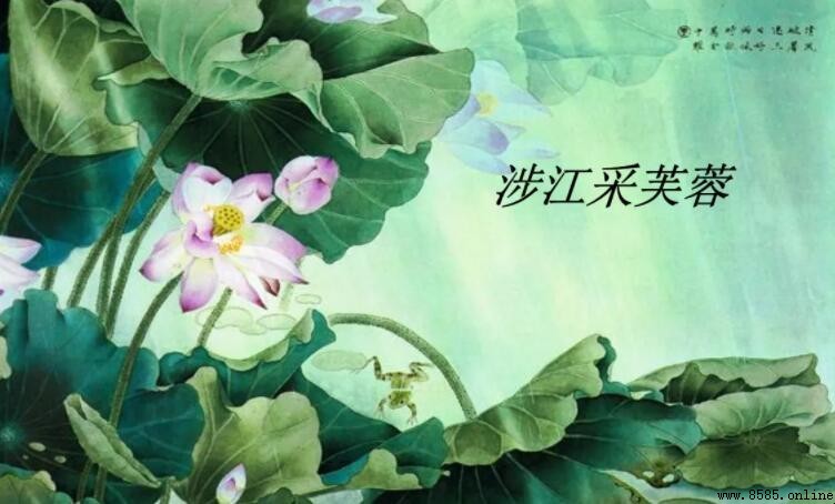 《涉江采芙蓉》原文與譯文