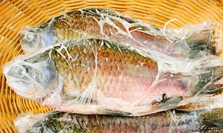 鯉魚冷凍後還能吃嗎?保存與食用指南