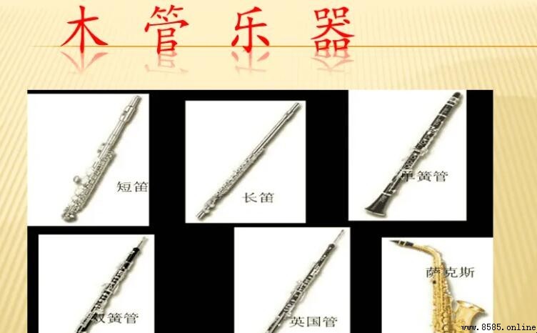 管弦樂器有哪些