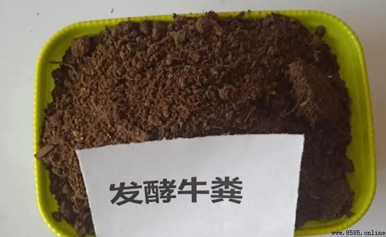 發酵牛糞上地的五大好處