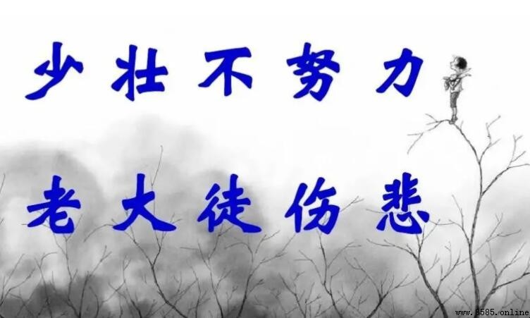 少壯不努力老大徒傷悲作者是誰?