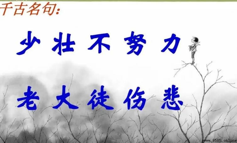少壯不努力老大徒傷悲類似句子彙整