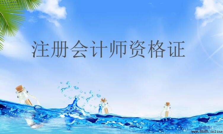 會計師資格證考試難度解析與應對策略