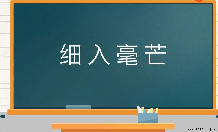細入毫芒的意思
