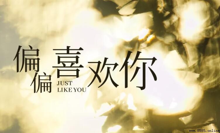 《偏偏喜欢你》:解說「愁緒揮不去、苦悶散不去」的歌曲