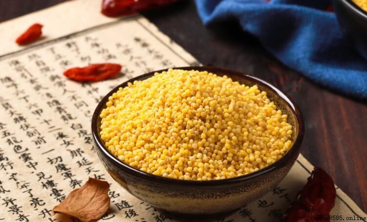 小米熱量知多少：營養資訊與消耗建議