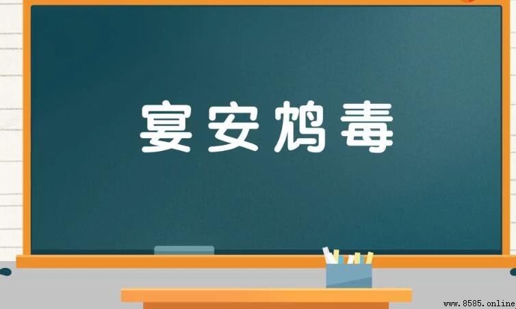 宴怎麼組詞