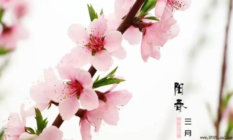 陽春三月是幾月?解析農曆與氣候的意義