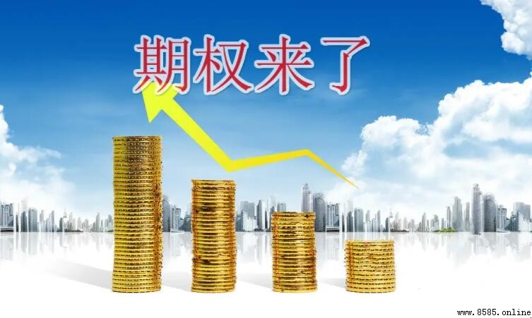 套期保值什麼意思？深入淺出解析其定義與操作邏輯