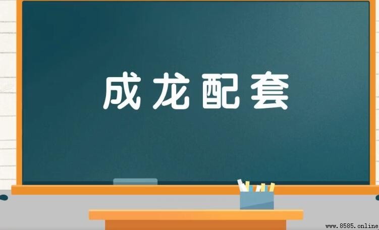 成龙配套是什么意思