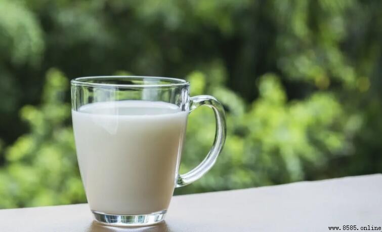 茶和牛奶可以一起喝嗎