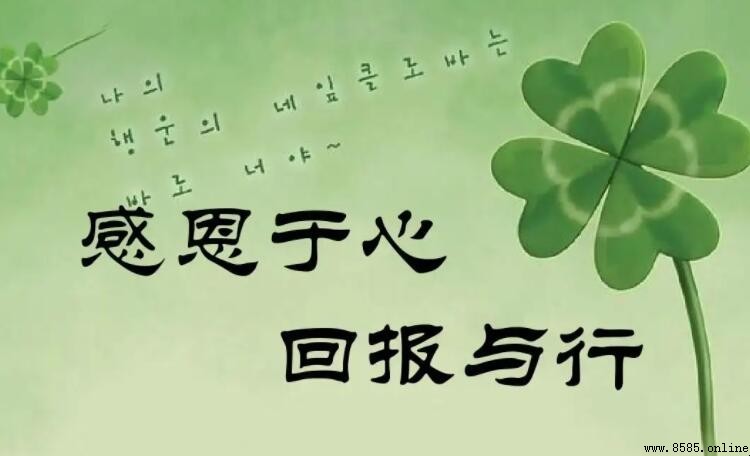 表達回報的成語有哪些