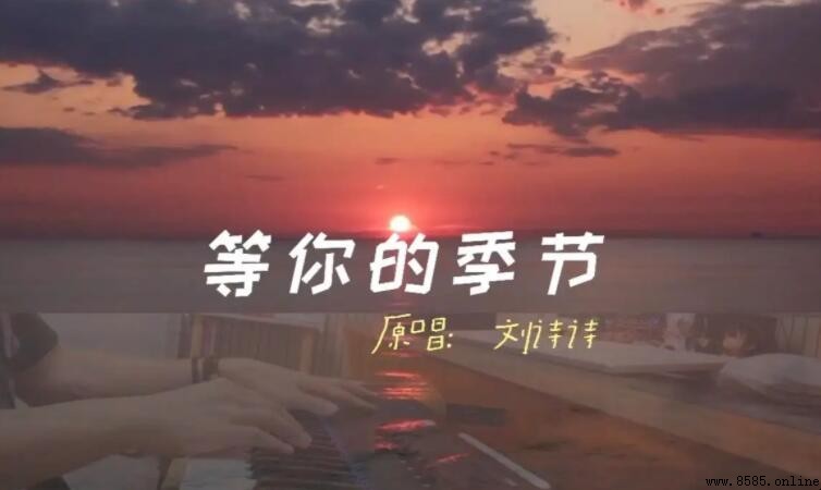 等夏天等秋天等下個季節是什麼歌?揭秘《等你的季節》