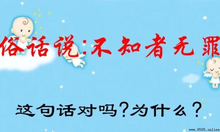 不知者無罪是誰說的?起源及含義解析