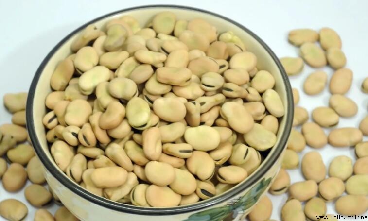 兰花豆与蚕豆的区别解析