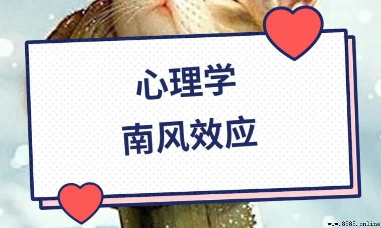 南風效應的啟示：溫柔與方法的力量