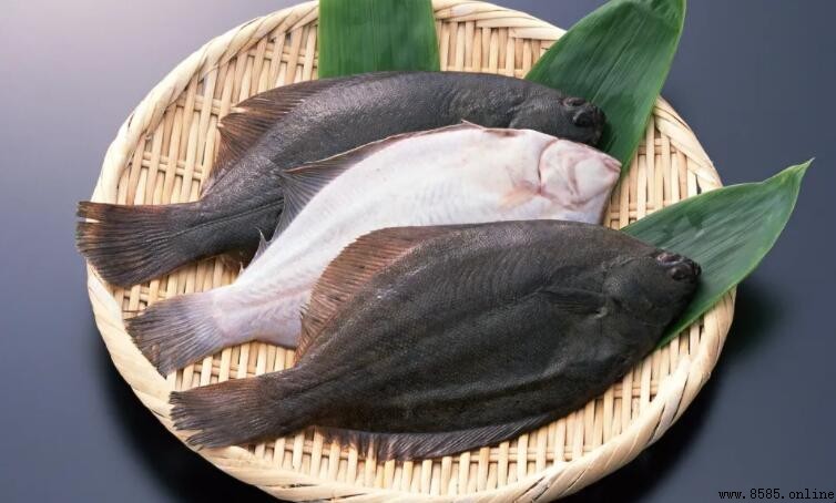 鴉片魚是什麼魚