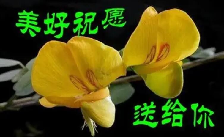 如何回謝別人的祝福語｜感謝回應的溫馨表達