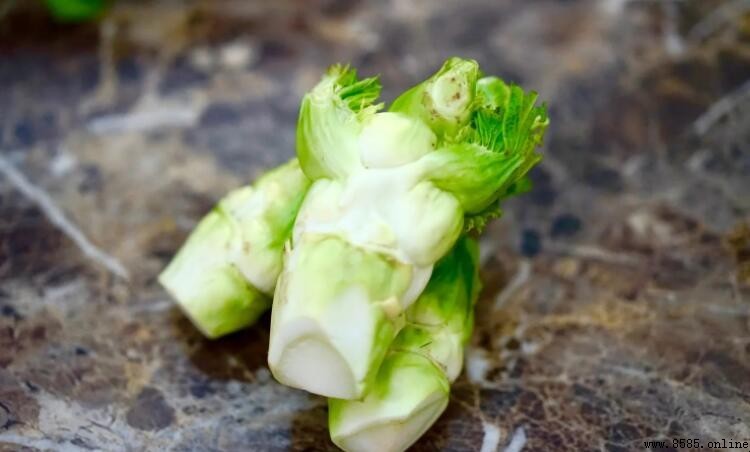 兒菜是搾菜嗎？解析兒菜與搾菜的正確區別
