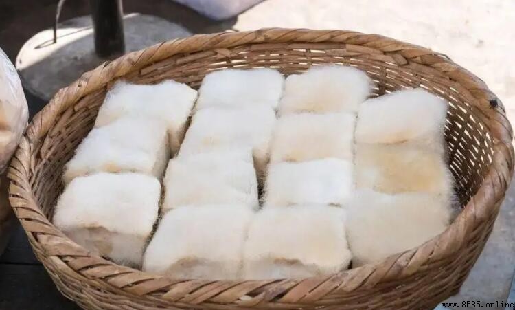 豆腐為什麼會長毛?原因與對策解析