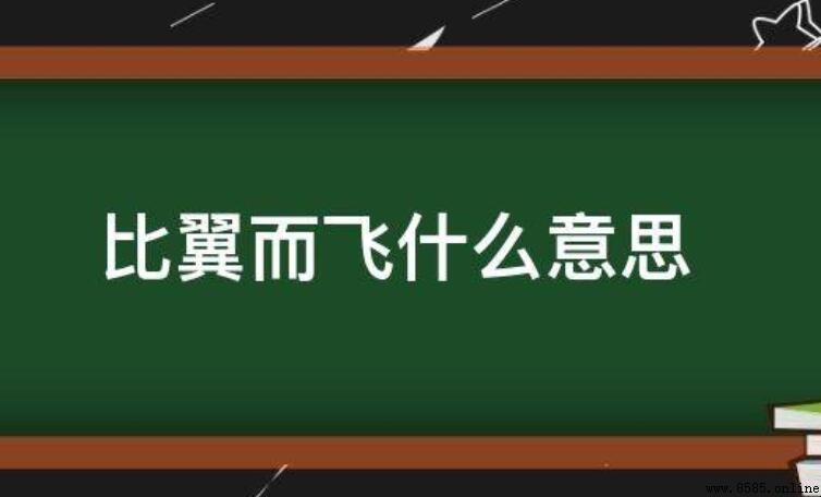 比翼而飛的正確含義與用法