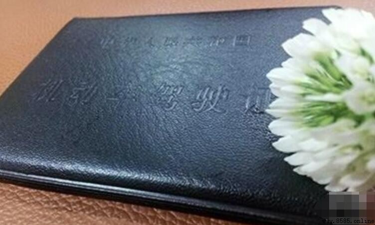 第一年C1驾照能扣多少分?实習期規則解析