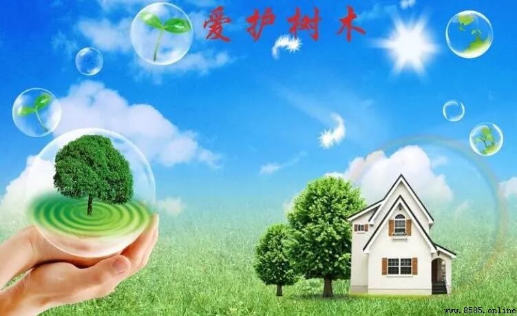 愛護樹木的標語集錦